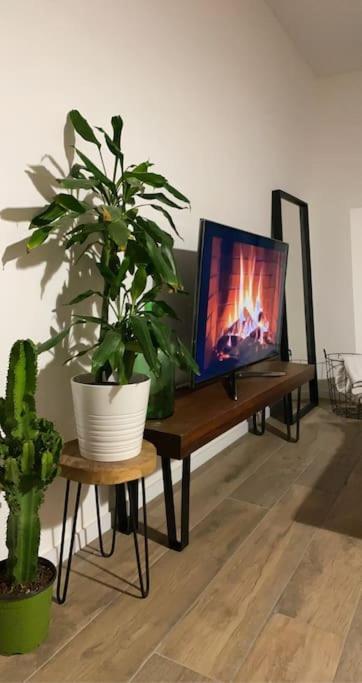Aussonne Belle Maison Climatisee - Meet - Aeroscopia - Tramway מראה חיצוני תמונה